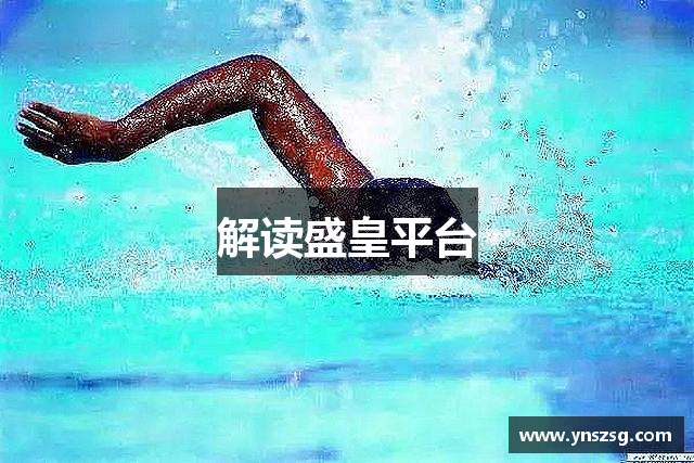 解读盛皇平台